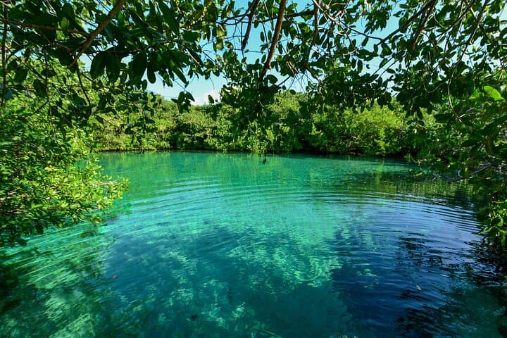 Three Cenote Dives in Tulum: Casa Cenote and Dos Ojos Explorer’s Guide photo 5