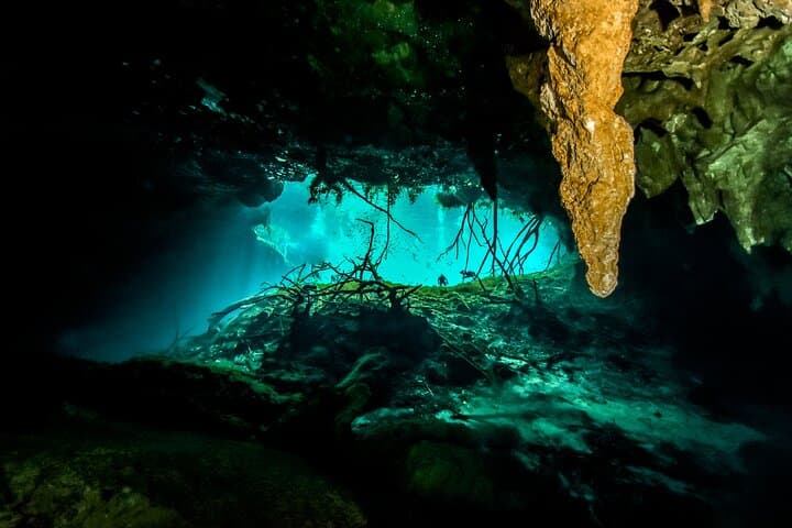Three Cenote Dives in Tulum: Casa Cenote and Dos Ojos Explorer’s Guide photo 6