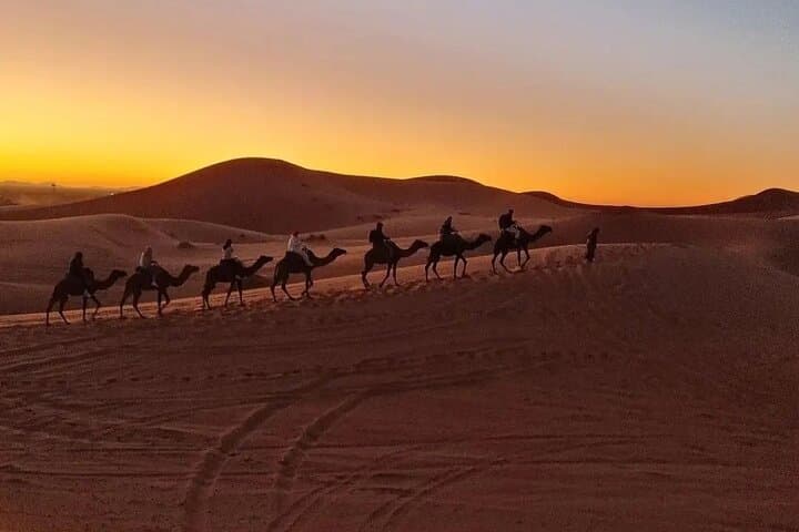 Overnight Desert Camp & Camel Trek in Merzouga — Sleep Under Sahara Stars photo 3