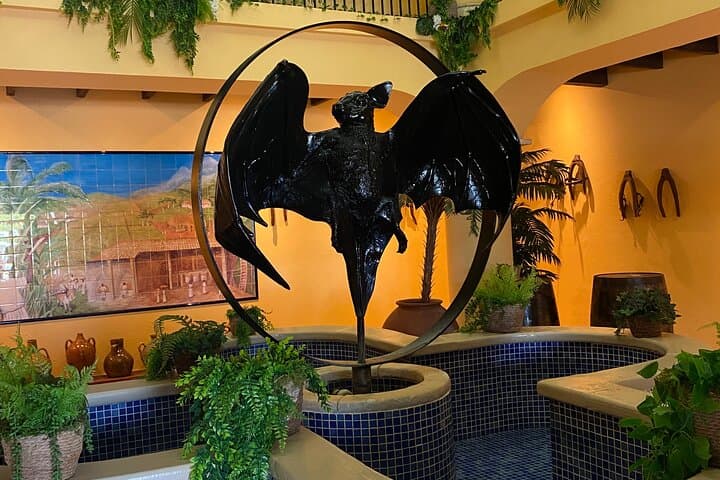 Old San Juan & Bacardi Distillery Combo Tour — Historic Sights and the Legacy Rum Experience photo 5