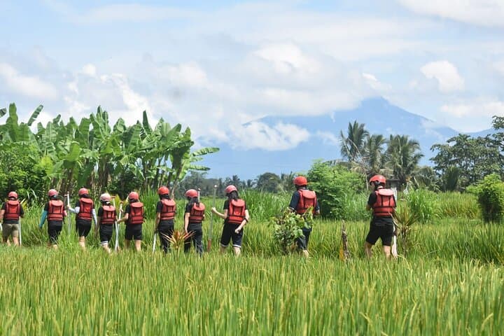 Ayung River Rafting in Ubud: 10km Class II–III Adventure photo 5