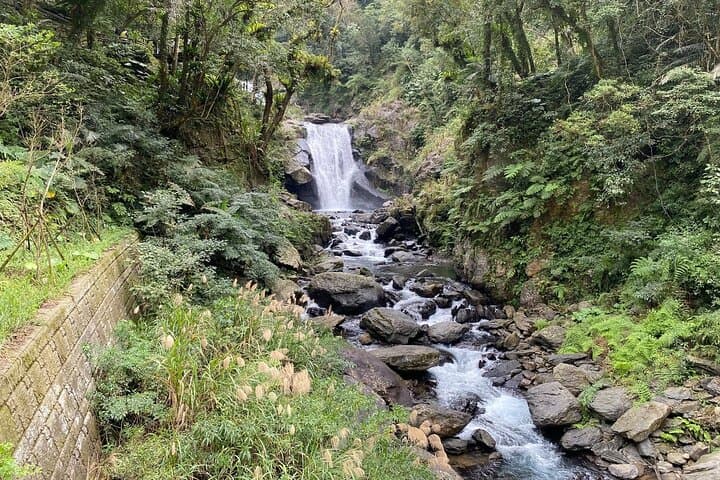 Wulai & Neidong Day Tour — Waterfalls, Indigenous Flavors and Bitan Evenings photo 2