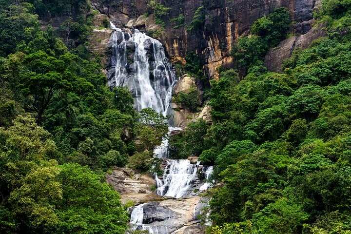 2-Day Sri Lanka Highlights: Elephants, Hill Country & Whale Watching
