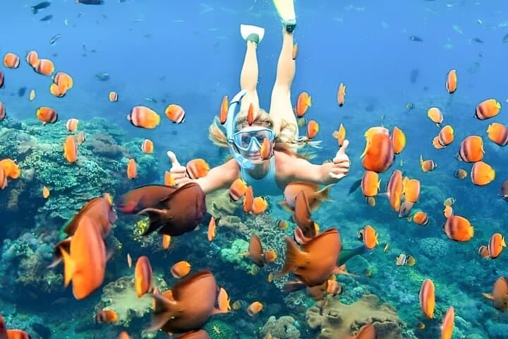 Blue Lagoon Bali Snorkeling: All-Inclusive Padangbai Day Tour photo 3
