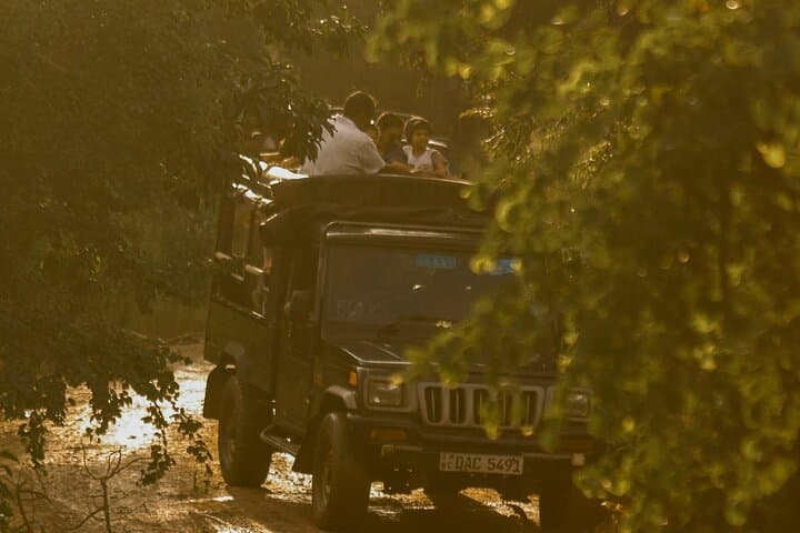 2-Day Minneriya & Wilpattu Safari from Colombo — Elephant Herds and Leopards photo 5