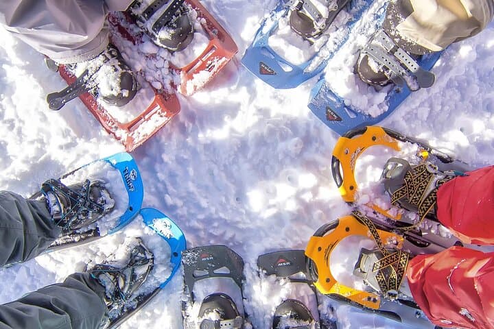 Snowshoeing in Chamonix: Private 6‑Hour Winter Trek Below Mont Blanc