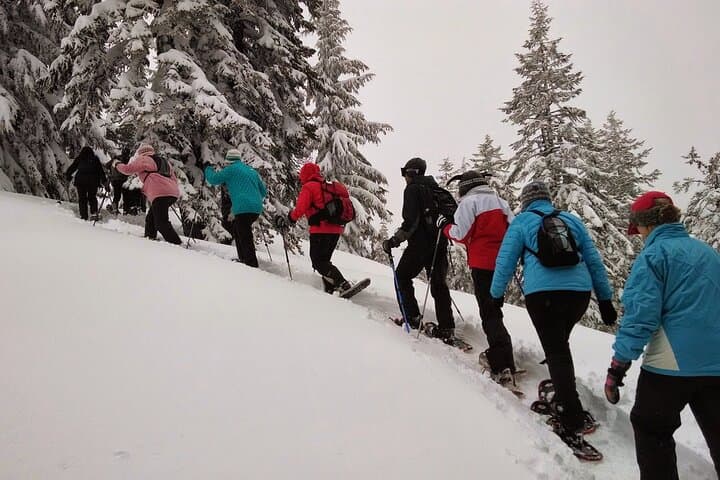Snowshoeing in Chamonix: Private 6‑Hour Winter Trek Below Mont Blanc photo 3