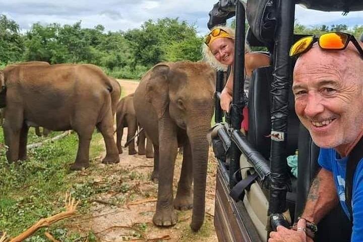 Private Udawalawe Safari: 4-Hour 4x4 Wildlife Drive with Local Guide
