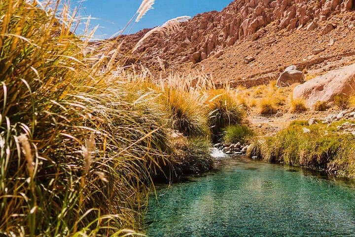 Puritama Hot Springs Tour: Soak in Atacama’s Canyon Pools photo 3