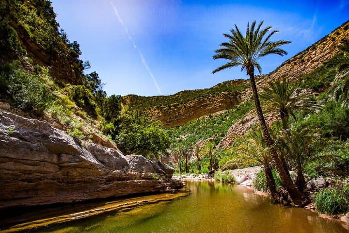 Paradise Valley Half-Day: Natural Pools, Argan Cooperatives & Atlas Foothill Views photo 2