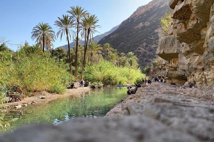 Paradise Valley Half-Day: Natural Pools, Argan Cooperatives & Atlas Foothill Views photo 4