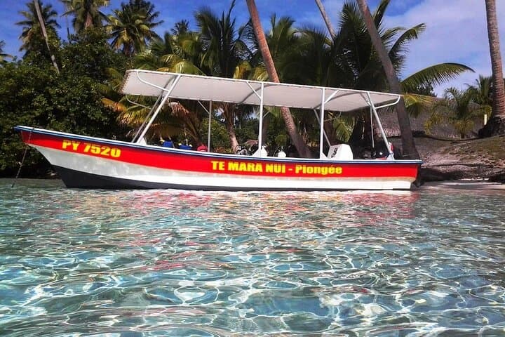 Half-Day Tahaa Excursion from Raiatea: Vanilla, Black Pearls & Lagoon Views photo 2