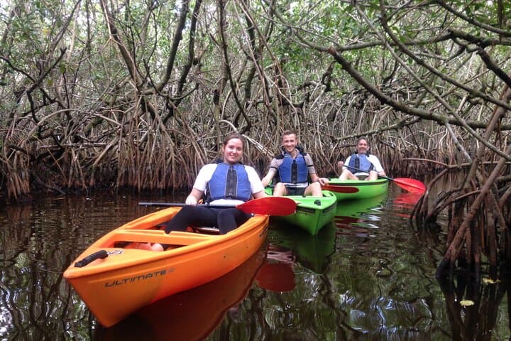 Paddle Marco Island: Small-Group Mangrove Tunnel & Maze Kayak Tour