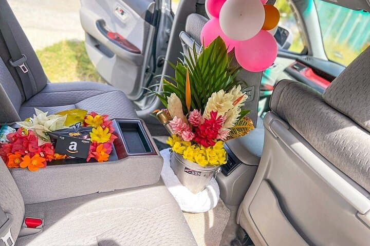 UVF Luxury Airport Transfers & Fast Track to Soufrière — Champagne Arrival Service photo 6