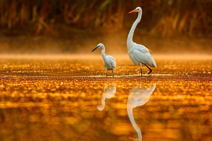 Paddling the Noosa Everglades: Canoe Trip to Harry's Hut photo 2