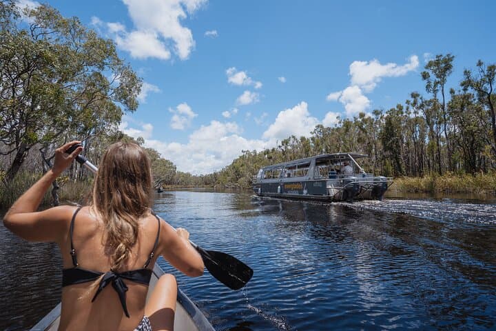 Paddling the Noosa Everglades: Canoe Trip to Harry's Hut photo 3