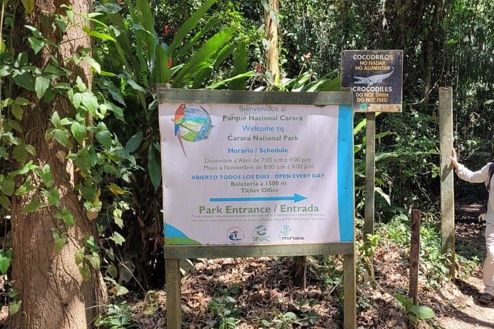 Carara National Park Guided Wildlife Walk: See Scarlet Macaws & Forest Transition photo 4
