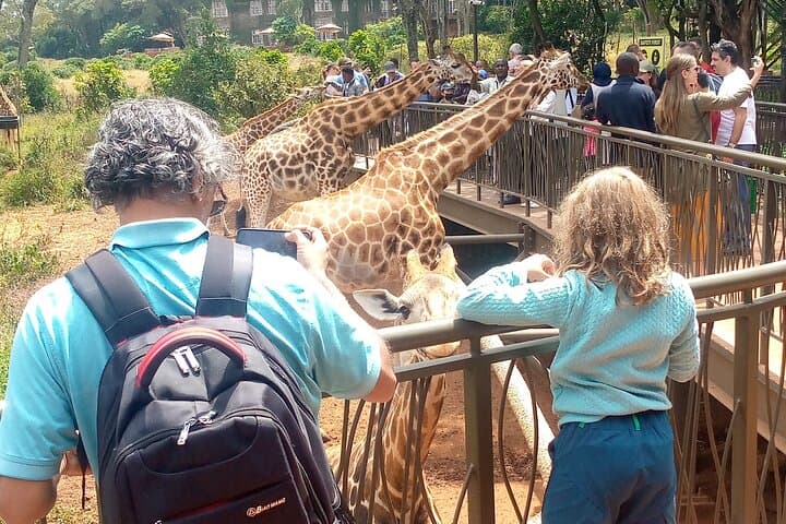 Private Giraffe Centre and Bomas of Kenya Tour from Nairobi