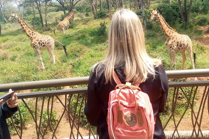 Private Giraffe Centre and Bomas of Kenya Tour from Nairobi photo 2