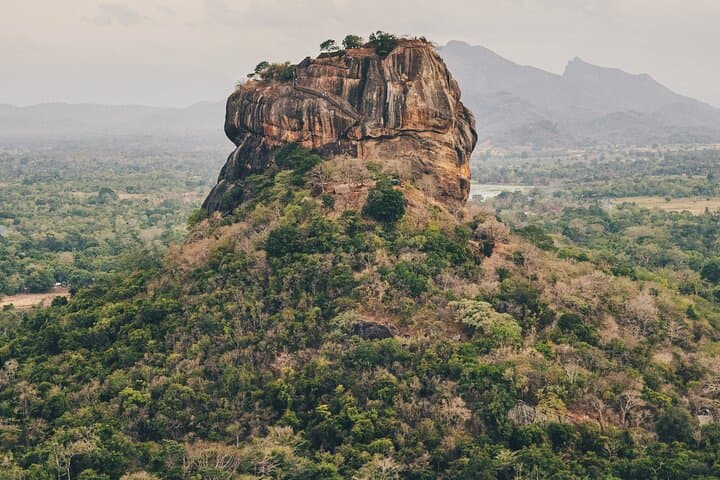 Sigiriya, Dambulla & Minneriya: 2-Day Cultural and Safari Escape from Negombo photo 5