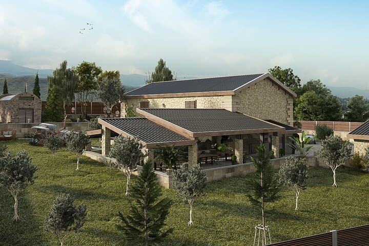 Cretan Wine and Olive Safari: Kolymvari, Ano Vouves & Karavitakis Winery