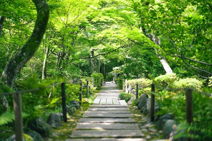 Arashiyama Bamboo Grove & Okochi Sanso: Half-Day Walking Tour Guide photo 4