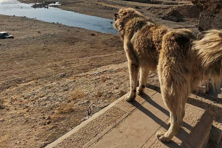 4-Day Private Cappadocia & Göbeklitepe Tour from Istanbul photo 2
