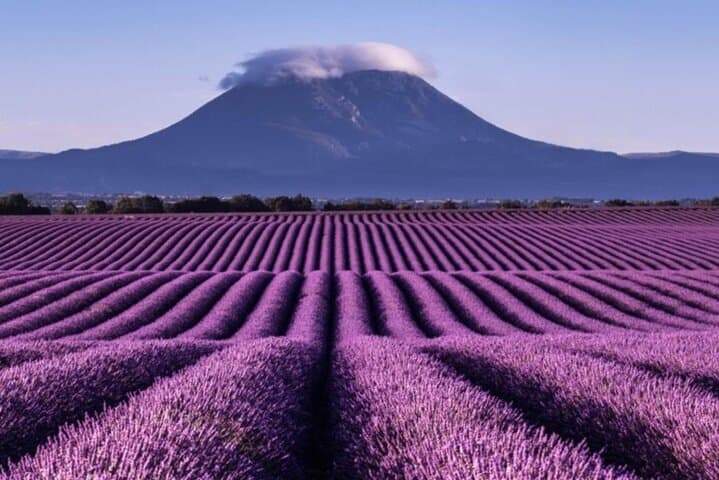 Day Tour to Valensole Lavender Fields, Gorges du Verdon & Moustiers from Aix-en-Provence photo 3