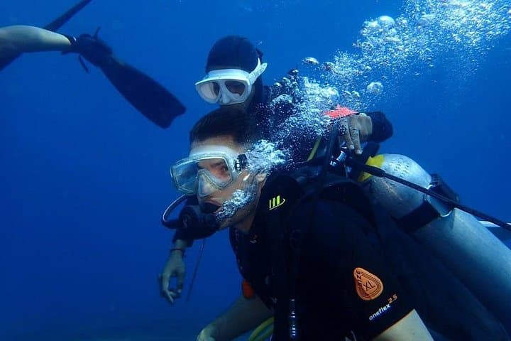 Tulamben USAT Liberty Full-Day Fun Dive — Wreck & Coral Garden Safari photo 2