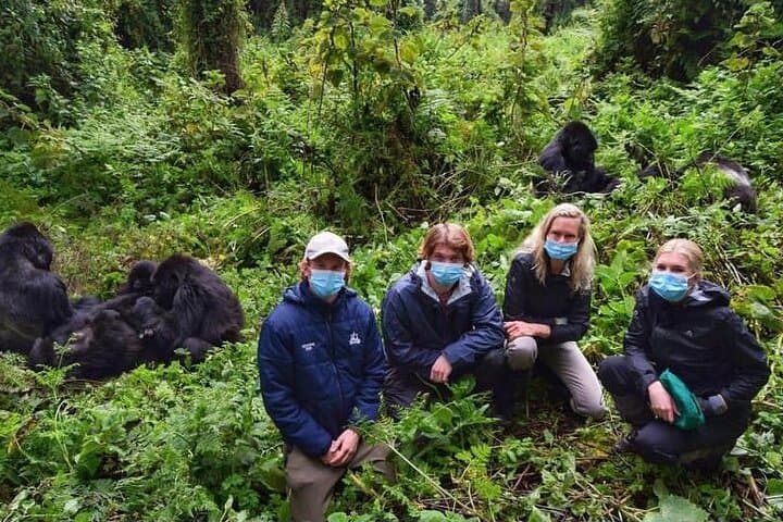 7-Day Rwanda Gorilla & Wildlife Tour: Gorillas, Chimps, Canopy Walks and Lake Kivu photo 1