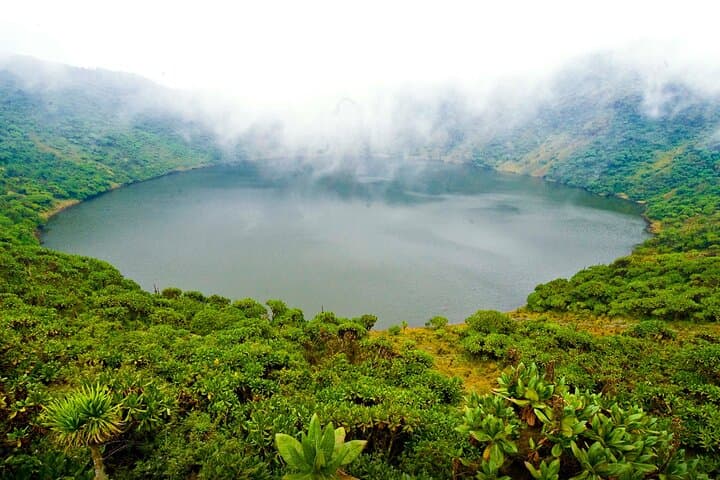 7-Day Rwanda Gorilla & Wildlife Tour: Gorillas, Chimps, Canopy Walks and Lake Kivu photo 4