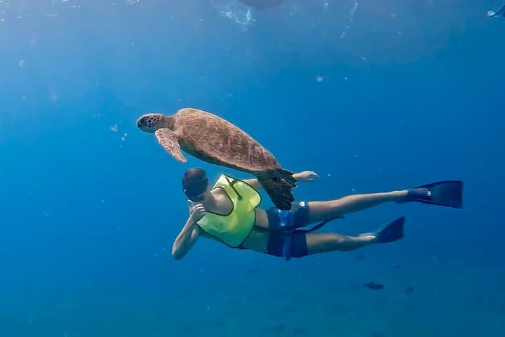 Benalmádena Coastal Boat Tour — Dolphins, Shipwreck Snorkel & 20‑ft Water Slide photo 2