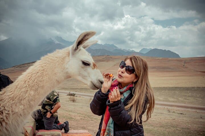Sacred Valley Day Trip: Moray, Maras Salt Flats & Llama Picnic photo 4
