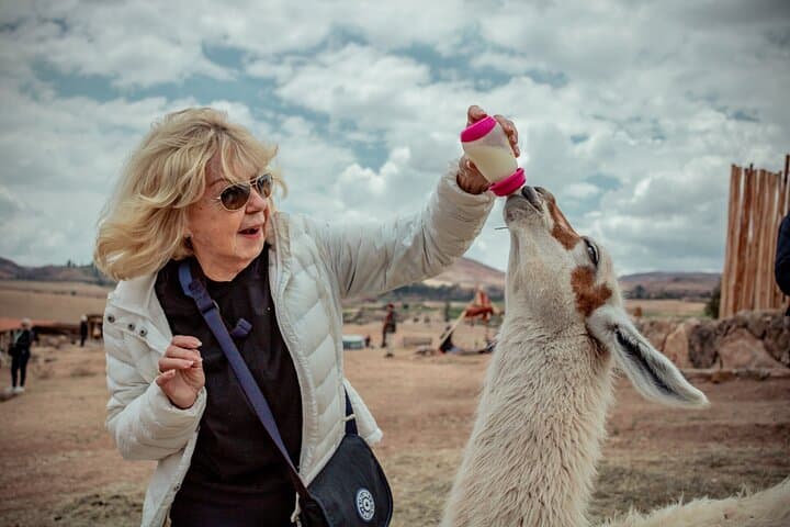 Sacred Valley Day Trip: Moray, Maras Salt Flats & Llama Picnic photo 3