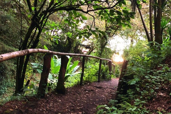 Hike El Boquerón National Park: Explore the San Salvador Volcano Crater photo 6