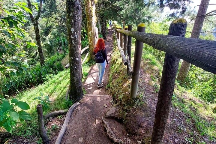 Hike El Boquerón National Park: Explore the San Salvador Volcano Crater photo 2