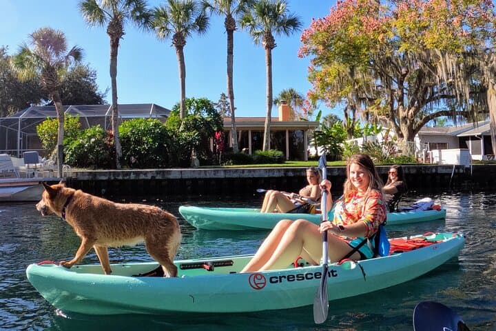 Crystal River Kayak Rental: Paddle Kings Bay & Manatee Sanctuaries photo 2
