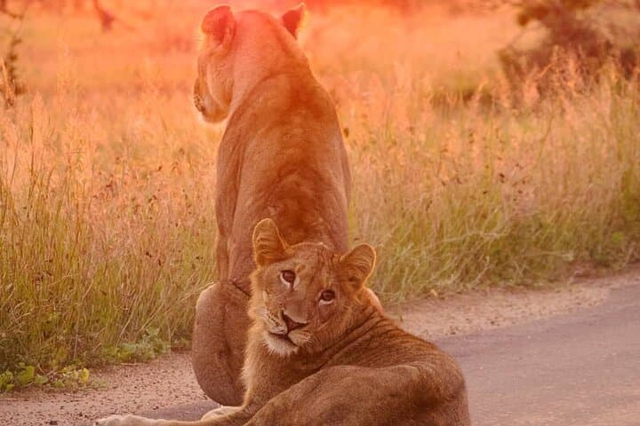 4-Day Private Kruger Safari & Panorama Route: Big Five, Blyde Canyon & Boat Cruise photo 3