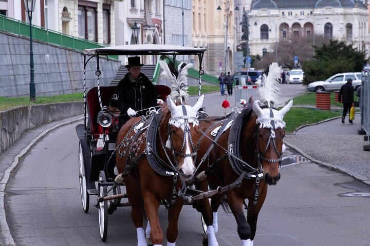 Karlovy Vary Private Tour: Carlsbad Spa Town Day Trip from Prague photo 6