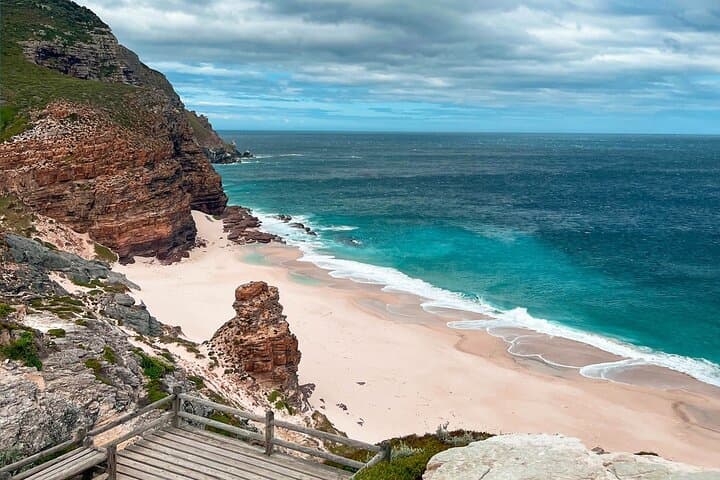 Cape Peninsula Day Tour — Boulders Beach Penguins, Chapman’s Peak & Cape Point photo 5