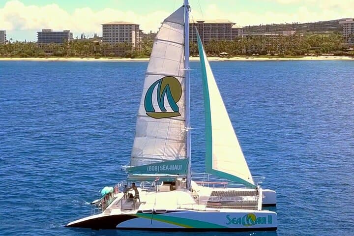Ka'anapali Whale Watching Cruise with Open Bar — Humpback Tours from Lahaina photo 4