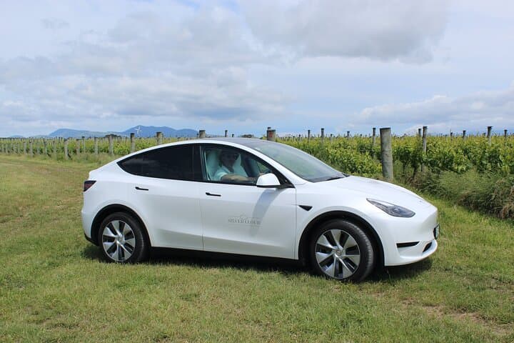 Private Electric Martinborough Wine Tour from Wellington in a Tesla Model Y photo 2