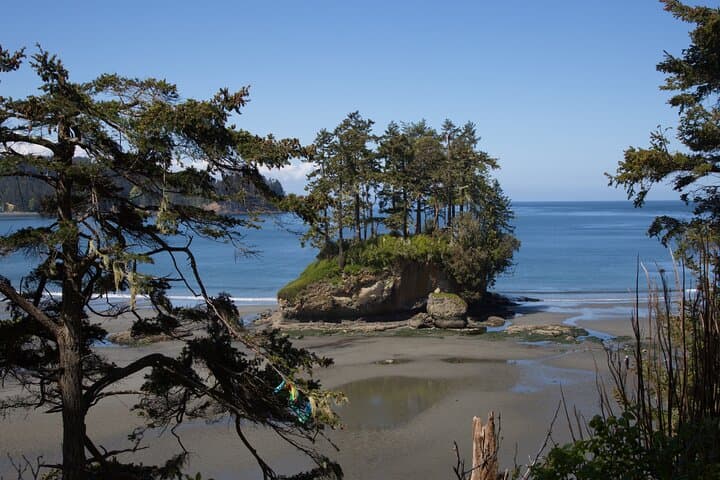 Olympic Peninsula Day Tour from Seattle — Hurricane Ridge, Sol Duc & Coastal Tidepools photo 2