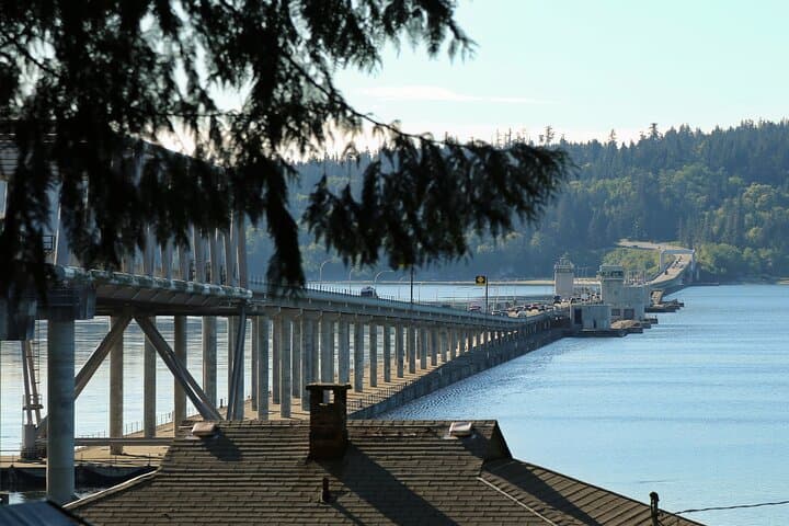 Olympic Peninsula Day Tour from Seattle — Hurricane Ridge, Sol Duc & Coastal Tidepools photo 3