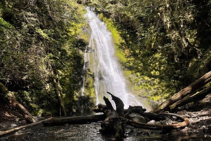 Olympic Peninsula Day Tour from Seattle — Hurricane Ridge, Sol Duc & Coastal Tidepools photo 6