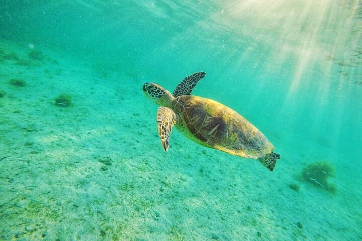 Puerto Princesa to Port Barton: 5-Day Palawan Escape with Underground River & Island Hopping photo 6