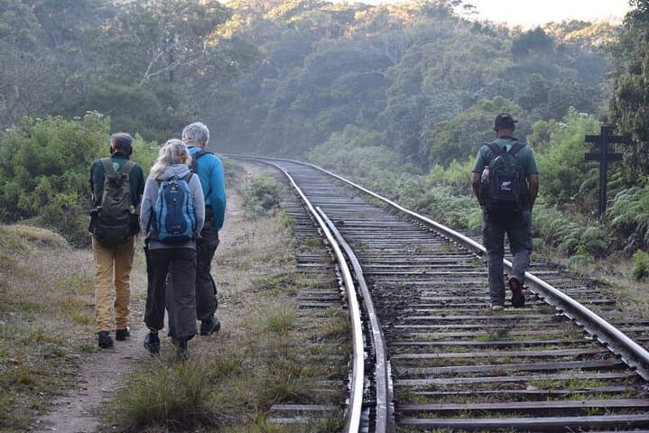 14-Day Sri Lanka Treks and Hikes: Adam's Peak, Knuckles & Sinharaja Adventure photo 1