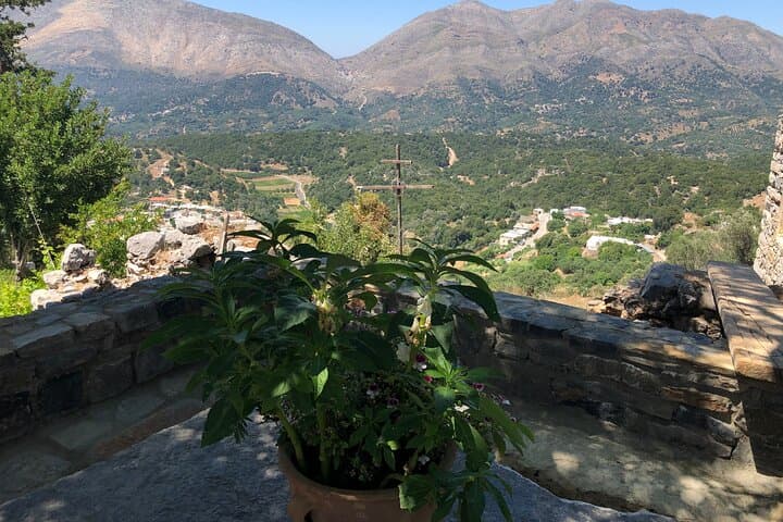 Cretan Culinary Backroads: Private Wine, Olive Mill & Honey Day Tour