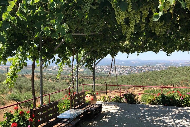 Cretan Culinary Backroads: Private Wine, Olive Mill & Honey Day Tour photo 3