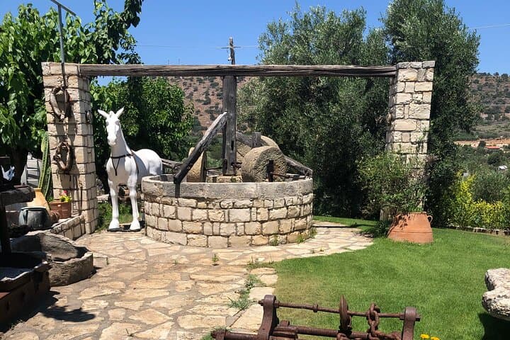 Cretan Culinary Backroads: Private Wine, Olive Mill & Honey Day Tour photo 4